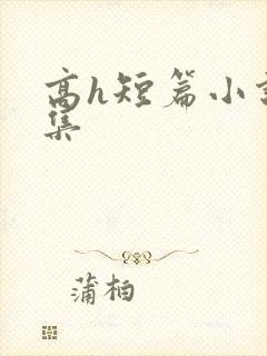 高h短篇小说合集