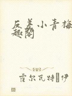 反差小青梅 笔趣阁