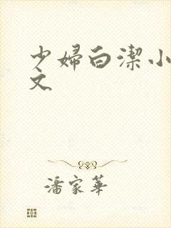 少妇白洁小说全文