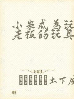 小米成为玩具店老板的玩具