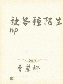 被各种陌生人 np