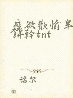 瘾欲欢愉半块小饼干tnt