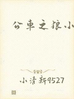 公车之狼小说