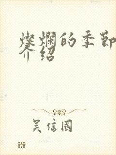 灿烂的季节剧情介绍