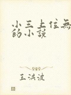 小三上位无三观的小说