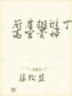 厨房挺进丁字裤高官贵妇