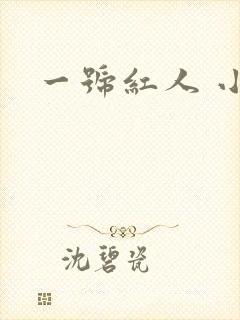 一号红人 小说