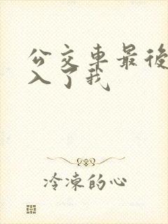 公交车最后一排入了我