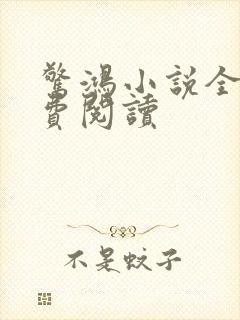 惊鸿小说全文免费阅读