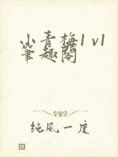 小青梅1 v1笔趣阁