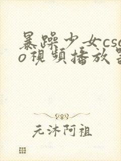 暴躁少女csgo视频播放器推荐
