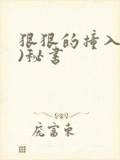 狠狠的撞入(h)秘书