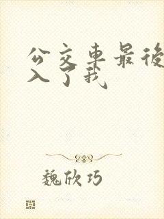 公交车最后一排入了我