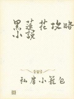黑莲花攻略手册小说