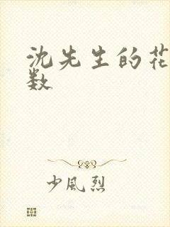 沈先生的花式调数