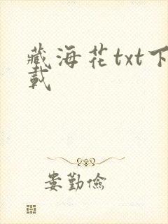 藏海花txt下载