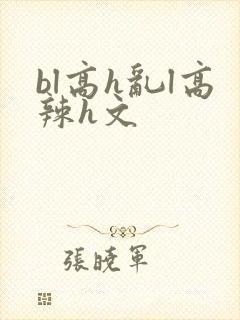 bl高h乱l高辣h文