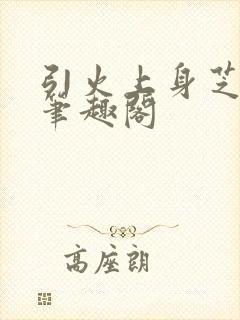 引火上身芝麻糖笔趣阁