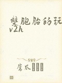 双胞胎的玩具1v2h