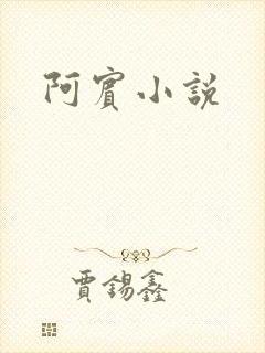 阿宾小说