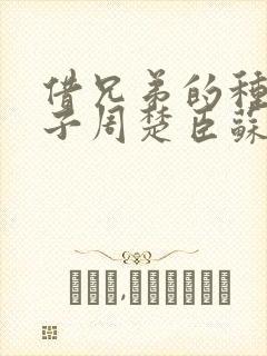 借兄弟的种生孩子周楚臣苏糖