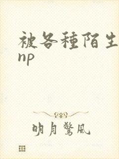 被各种陌生人 np