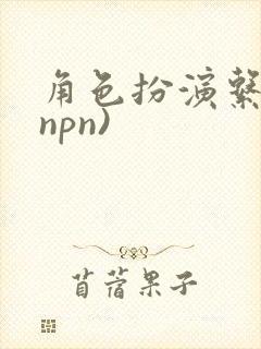角色扮演系统(npn)