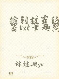 捡到校霸的遥控器txt笔趣阁