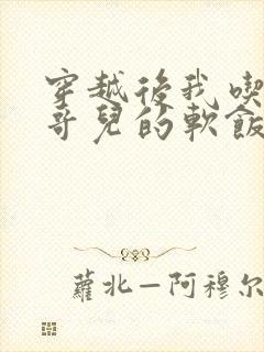 穿越后我吃到了哥儿的软饭炉山灰