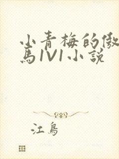 小青梅的傲娇竹马1V1小说