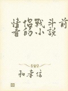 情侣战斗前适合看的小说