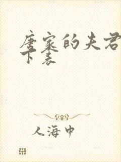 唐家的夫君们帘下衾