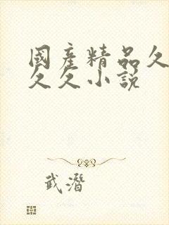 国产精品久久久久久小说