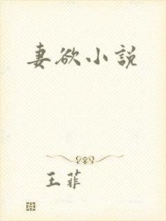 妻欲小说