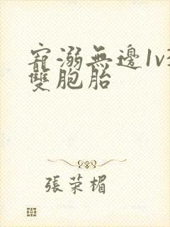 宠溺无边1v3双胞胎