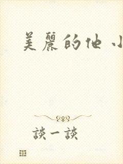 美丽的他 小说
