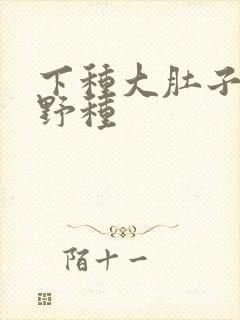 下种大肚子怀孕野种