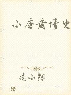 小唐黄倩史