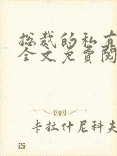 总裁的私有宝贝全文免费阅读