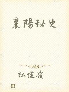 襄阳秘史
