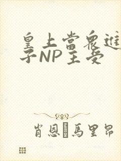 皇上当众进入太子NP主受