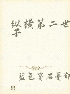 纵横第二世界宽子