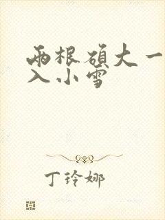 两根硕大一起挤入小雪