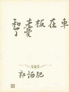 和老板在车里做了爱