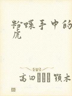 粉蝶手中的纸老虎