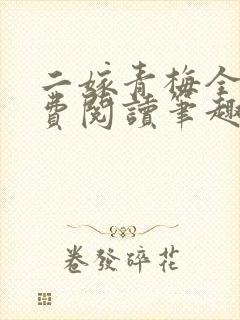 二嫁青梅全文免费阅读笔趣阁