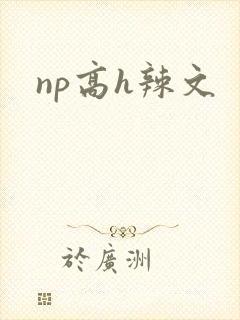 np高h辣文