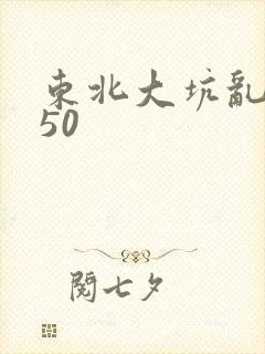 东北大坑乱1—50