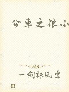 公车之狼小说