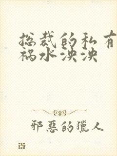 总裁的私有宝贝祸水泱泱